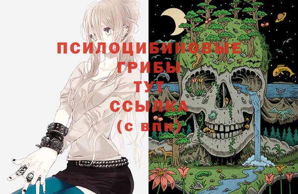 кокс Армянск