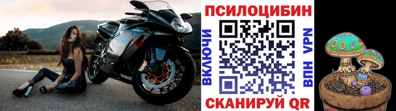 Псилоцибиновые грибы Magic Shrooms Балтийск