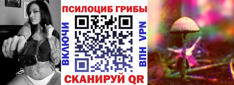Псилоцибиновые грибы Magic Shrooms Балтийск